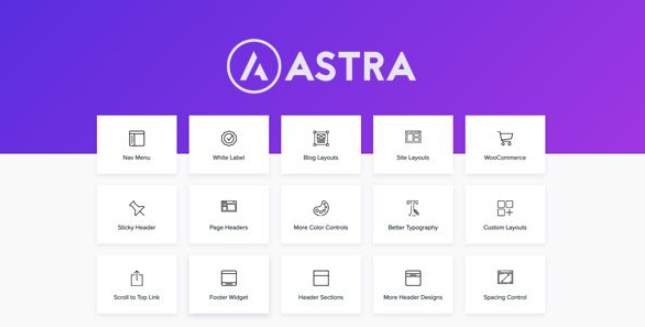 Astra Pro Addon – WordPress Theme for Any Website